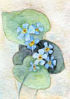 "True Blue" by Ginny Bores, Madison, WI - Watercolor
